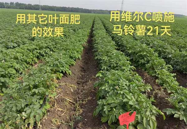 服务案例