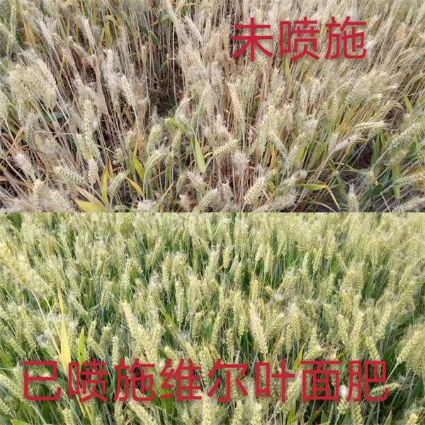 服务案例