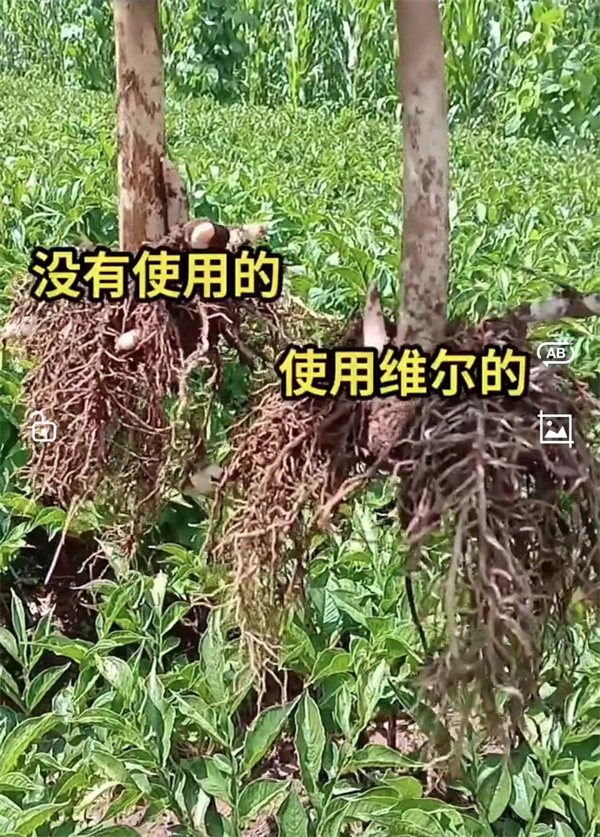 服务案例