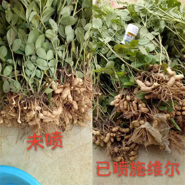 服务案例