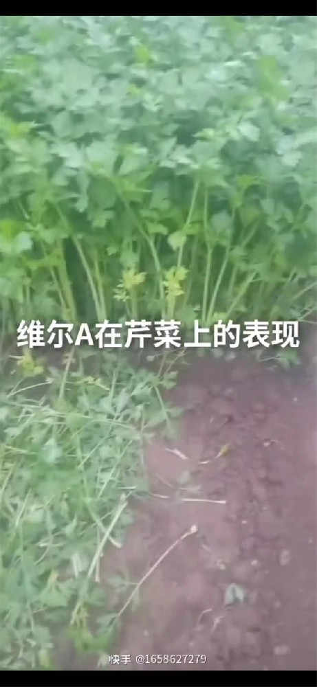 服务案例