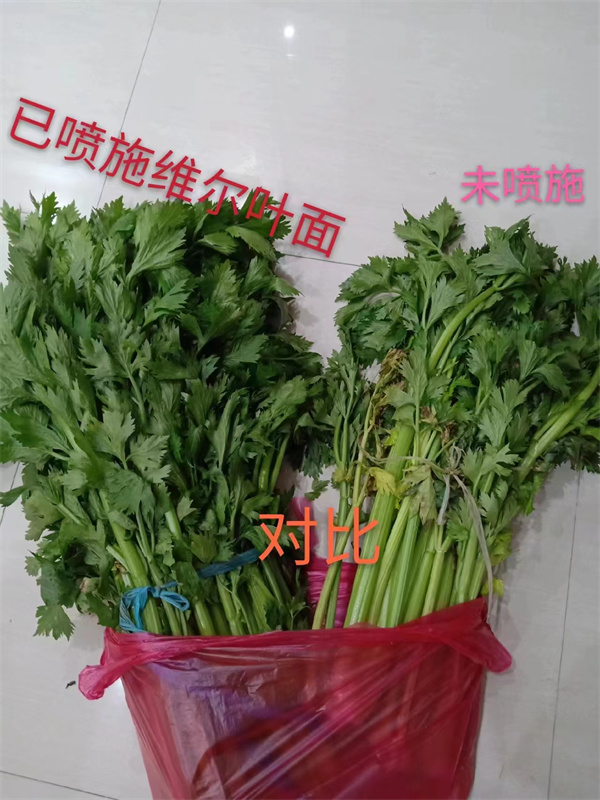服务案例