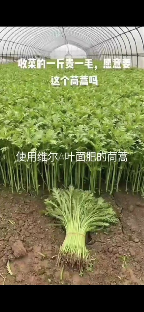 服务案例