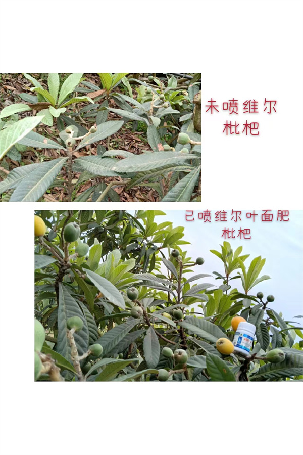 服务案例