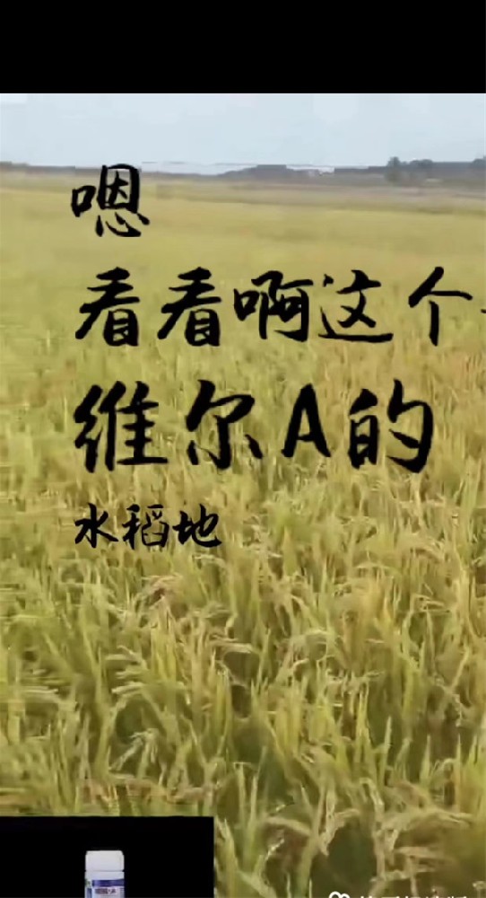 服务案例
