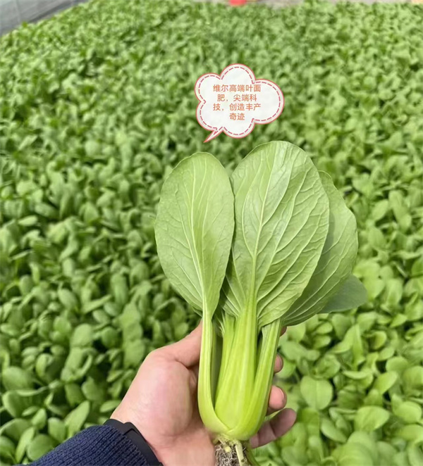 服务案例