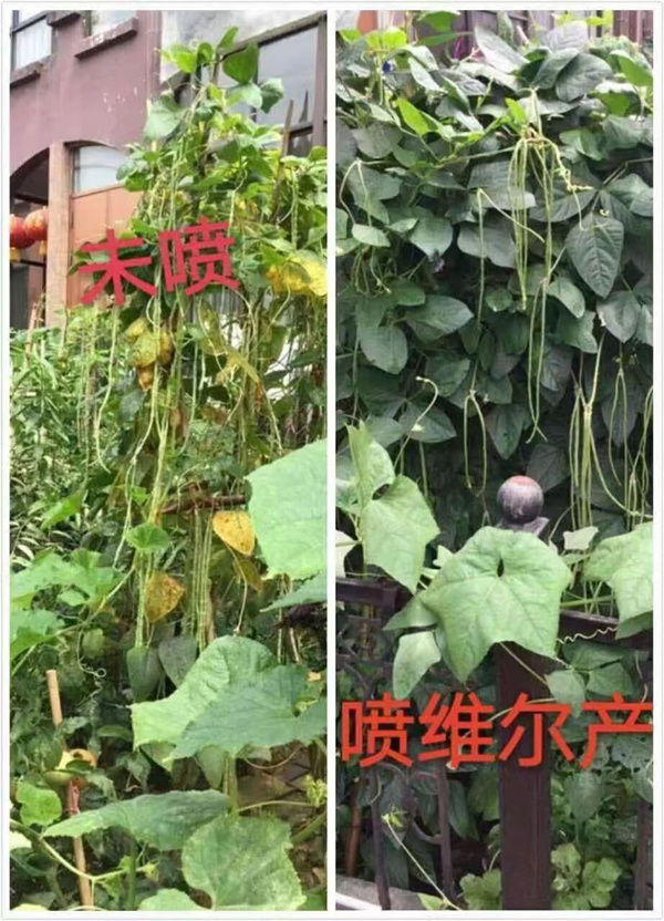 服务案例